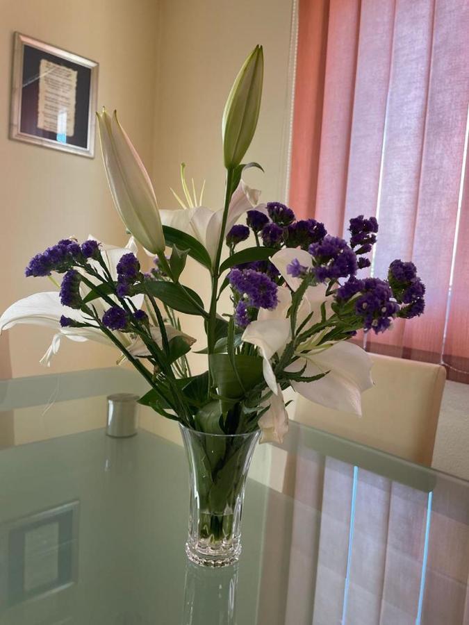 Apartment Edita Plano Trogir 外观 照片